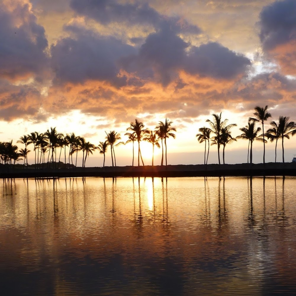 Meet your Posher, Lena